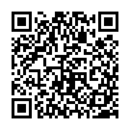 QR code for 339541