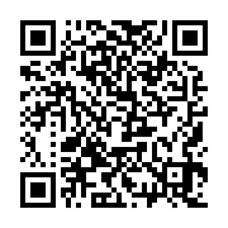 QR code for 339833