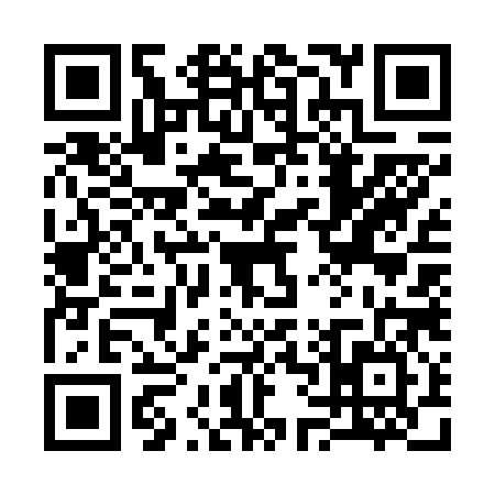 QR code for 3676867