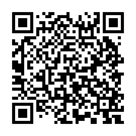 QR code for 368241