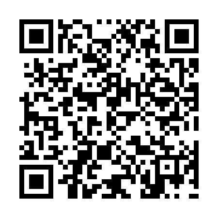 QR code for 368385