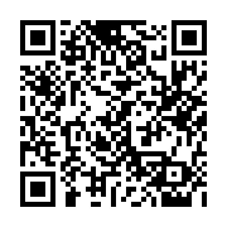 QR code for 368738