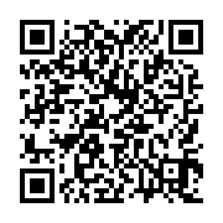 QR code for 368811