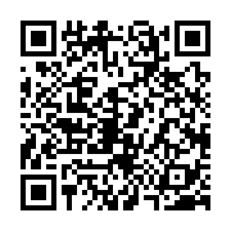 QR code for 3703393