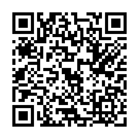 QR code for 3703873