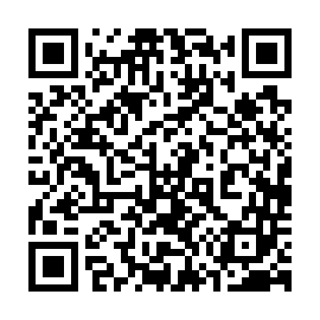 QR code for 370743