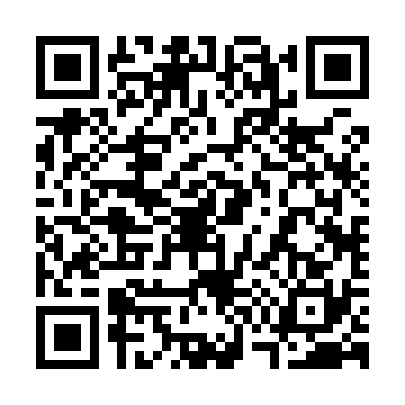 QR code for 3729301