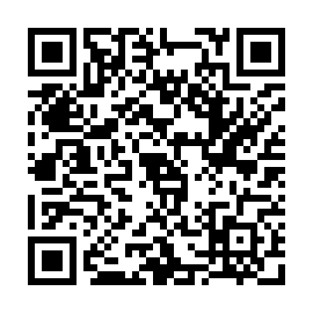 QR code for 3729602