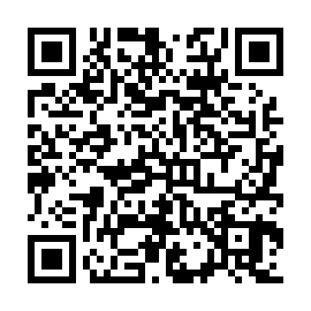 QR code for 3740204