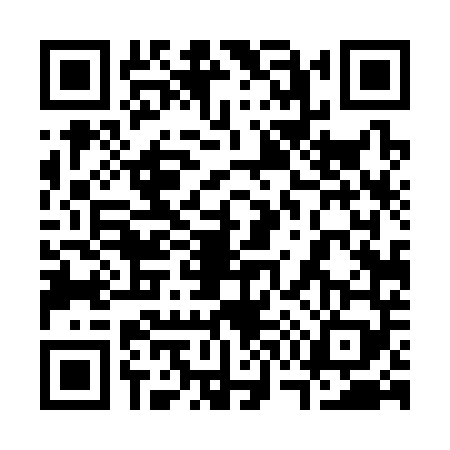 QR code for 3743495