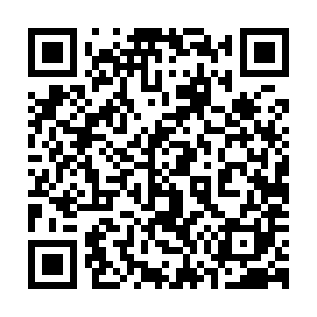 QR code for 374981
