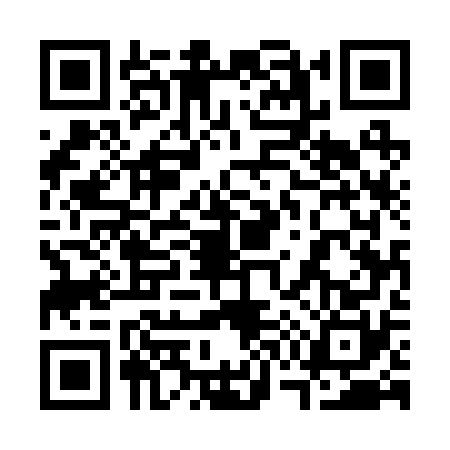QR code for 3752704