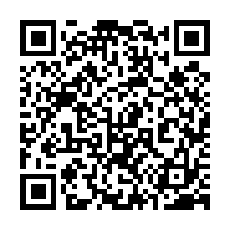 QR code for 376533