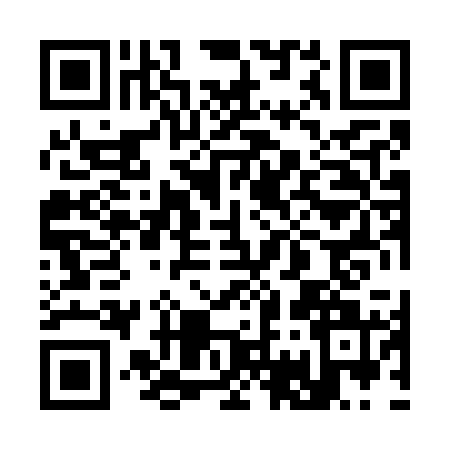 QR code for 3787213