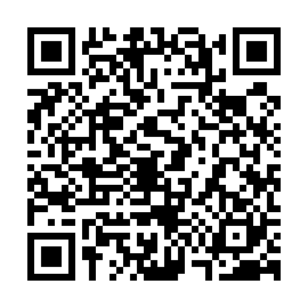 QR code for 3795207