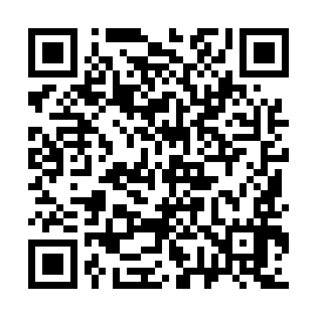 QR code for 379597