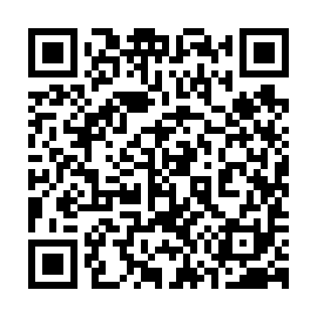 QR code for 379691
