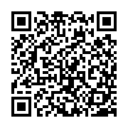 QR code for 379748