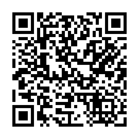 QR code for 380113