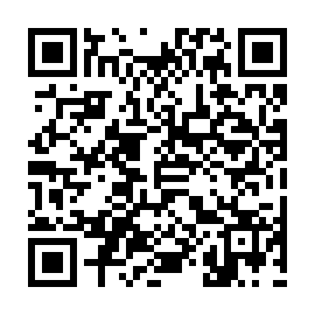 QR code for 380223