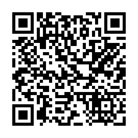 QR code for 380667