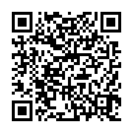 QR code for 380702