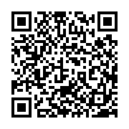 QR code for 380733