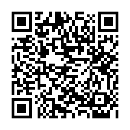 QR code for 3807483