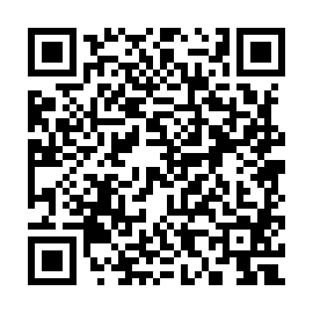 QR code for 3809843