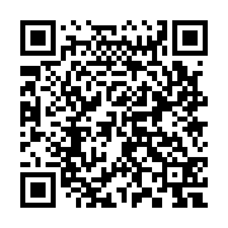 QR code for 381132