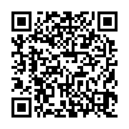 QR code for 381323