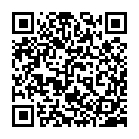 QR code for 381568