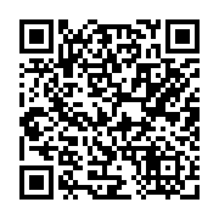 QR code for 381919