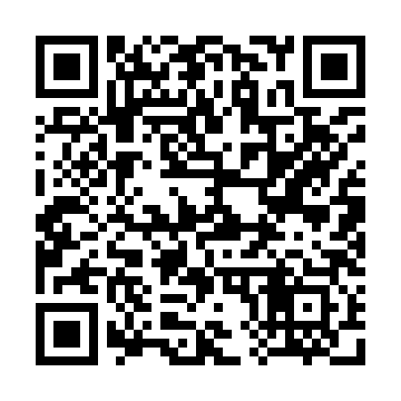 QR code for 381983