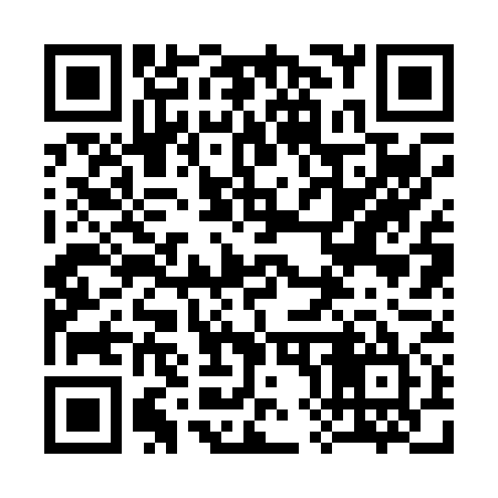 QR code for 382075