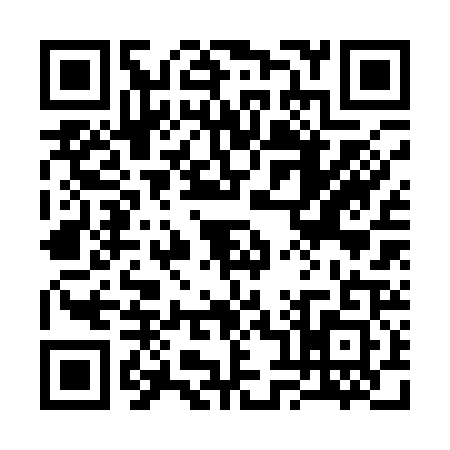 QR code for 3821217