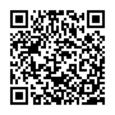 QR code for 382155