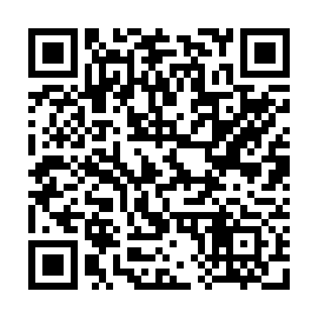 QR code for 382273