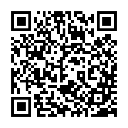 QR code for 382442