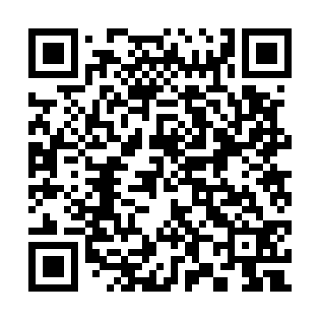 QR code for 382532