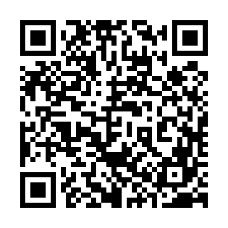 QR code for 382566