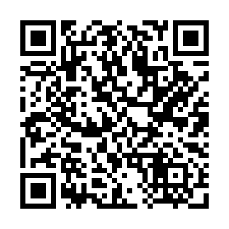 QR code for 382591