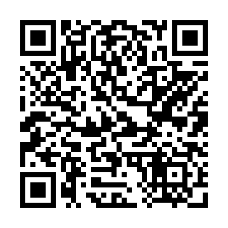 QR code for 382683