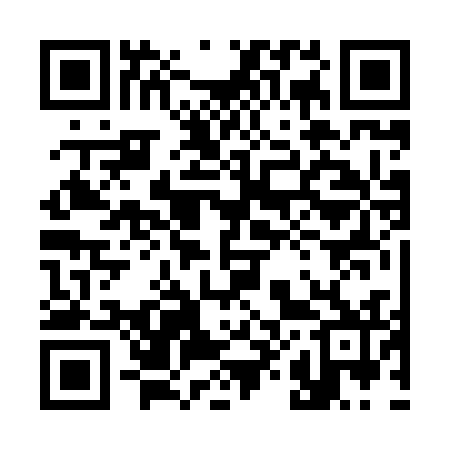 QR code for 382832