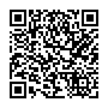 QR code for 382966