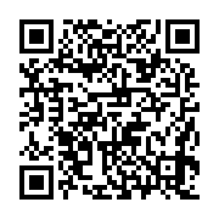 QR code for 382979
