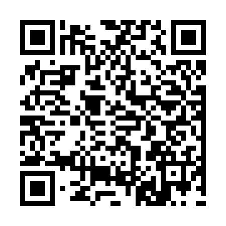 QR code for 3832365