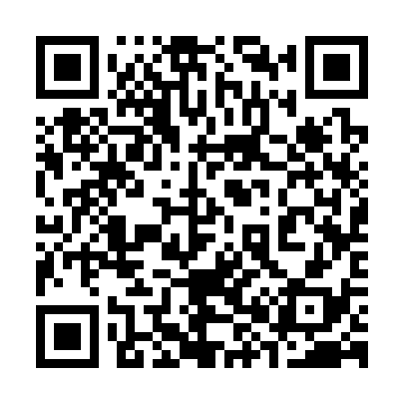 QR code for 383338