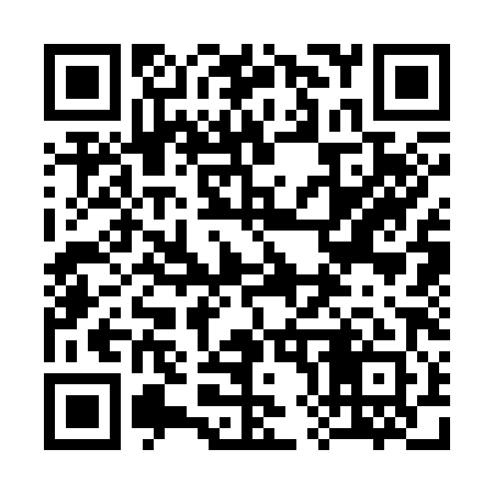QR code for 383381