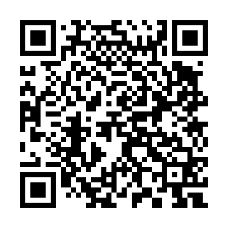 QR code for 383460